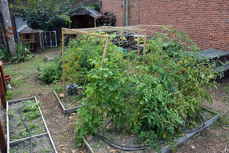 The garden at Port Discover in Elizabeth City, NC